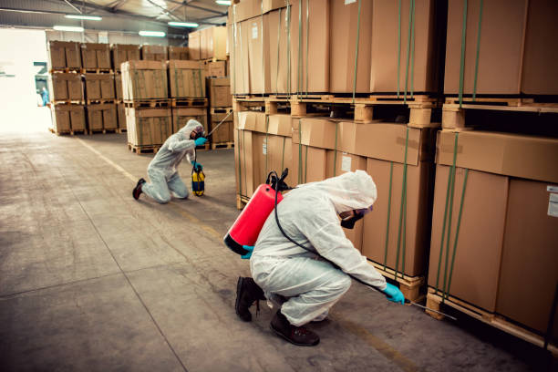 Best Best Pest Control Companies  in Hollister, CA