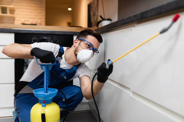 Best Affordable Pest Control Services  in Hollister, CA