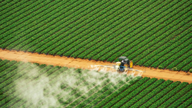 Reliable Hollister, CA Pest Control Solutions