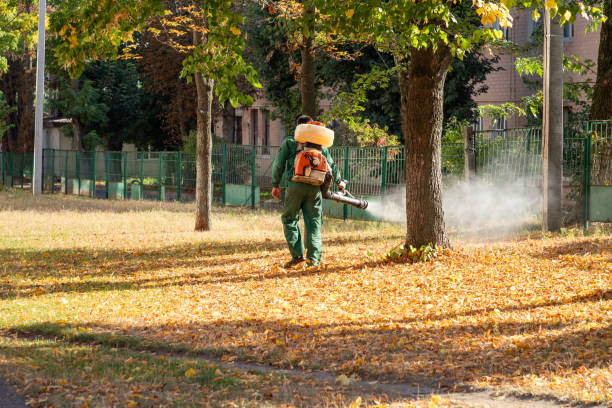 Best Pest Removal Services  in Hollister, CA