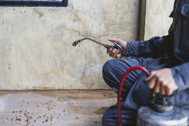 Best Pest Control Near Me  in Hollister, CA