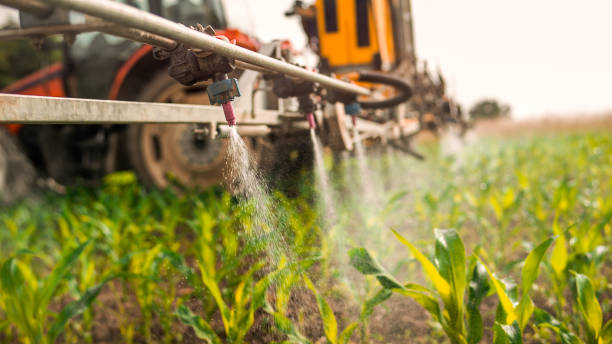 Best Ant Control Services  in Hollister, CA